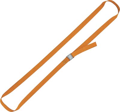 CINGHIA AD ANELLO 8188F ROBUR 2.5X25 KG 100/200