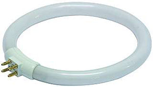 NEON CIRCOLARE 22W FLUORESCENT