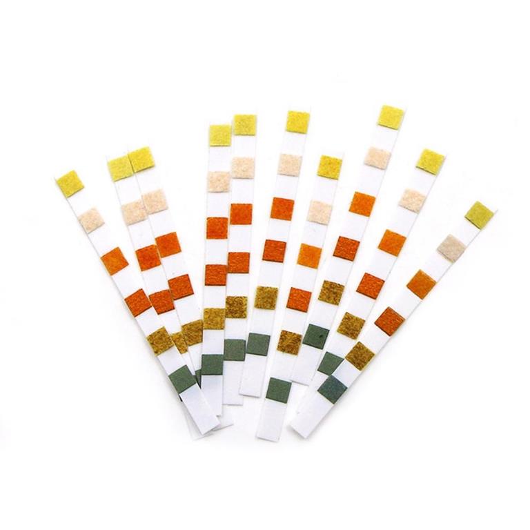 TEST ANALISI PISCINA PH+CLORO+ALCALINITA 50 STRISCE IMMEDIATE