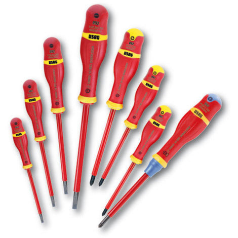 Cacciavite Torx 6X60 73.201.00