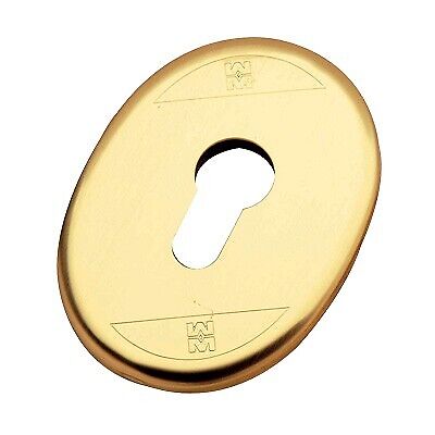 MOSTRINA PORTA BLINDATA 95417 MOTTURAF.SAGOM OTTONATA MM 65X90 CON SUPPORTO IN PLASTICA